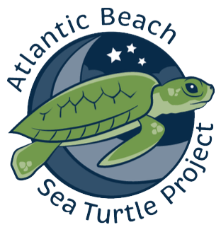 Atlantic Beach Sea Turtle Project