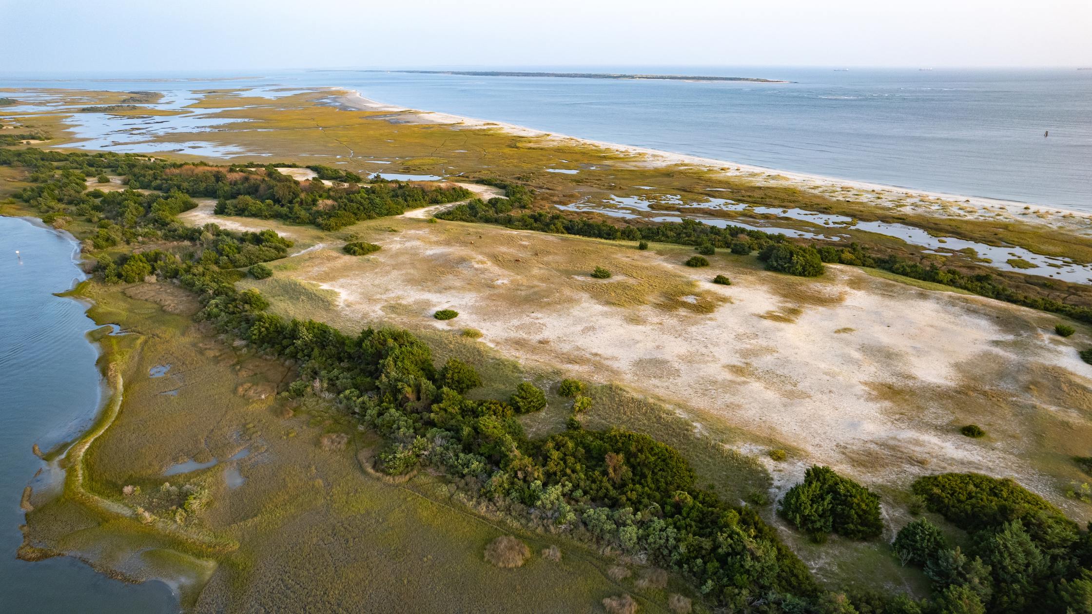 Rachel Carson Reserve